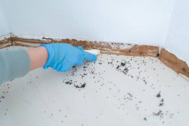 Best Pest Prevention Services  in Reading, MI